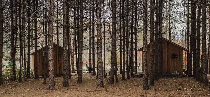 Maxs Tree Houses